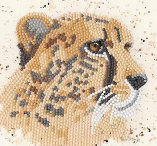 Diamond Art Card Kit - Chance