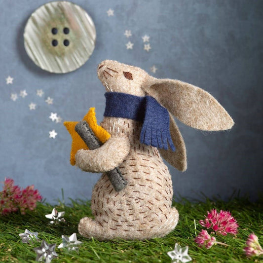 Prof Hare Stargazer Felt Craft Mini Kit: English