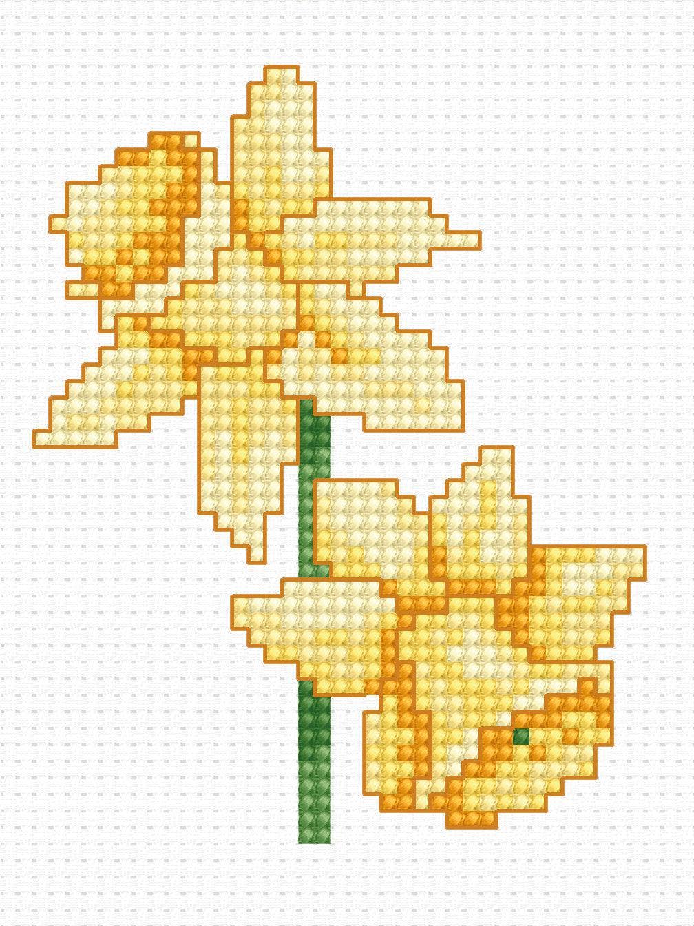 Cross Stitch Kit for Beginners -  Kids Embroidery Kit B026